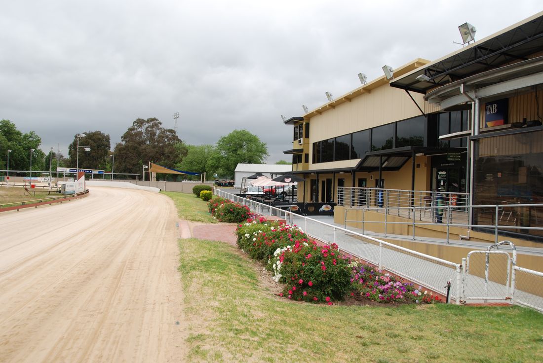 greyhound club sale